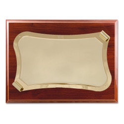 Parchment plaque 713