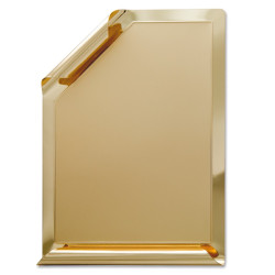 Scroll plaque 809