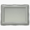 Plaque-1039