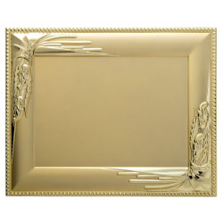 placa-621