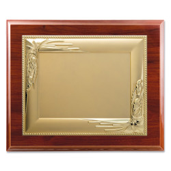 Plaque-621