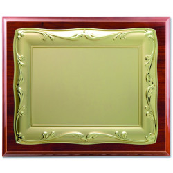 placa-624
