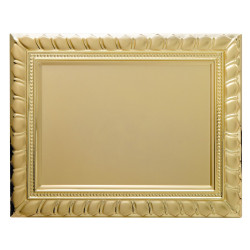 placa-368