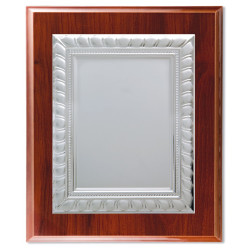 Plaque-368