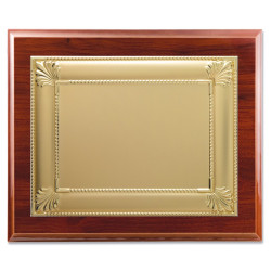 placa-368