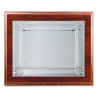 placa-368