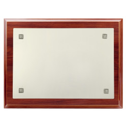 Placa-laser-881