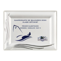 Plaque-1095