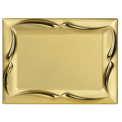placa-1091