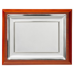 Plaque-1095