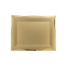 Plaque-1076