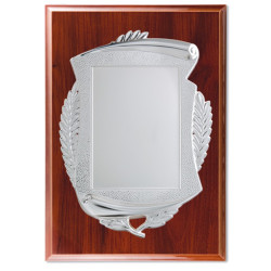 Placa Laurel 300