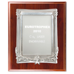 Plaque-297