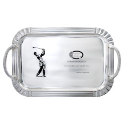 Presentation tray for award